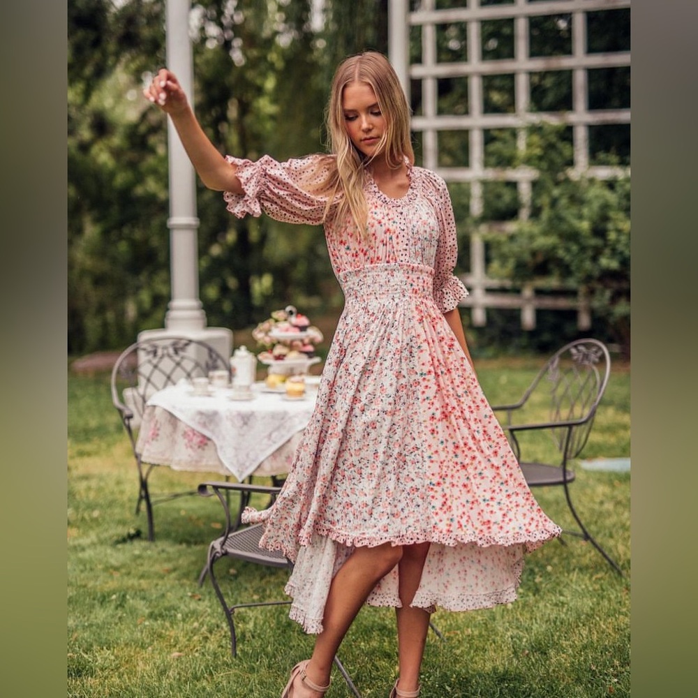 NWT Jessakae Tea Garden Dress - XS